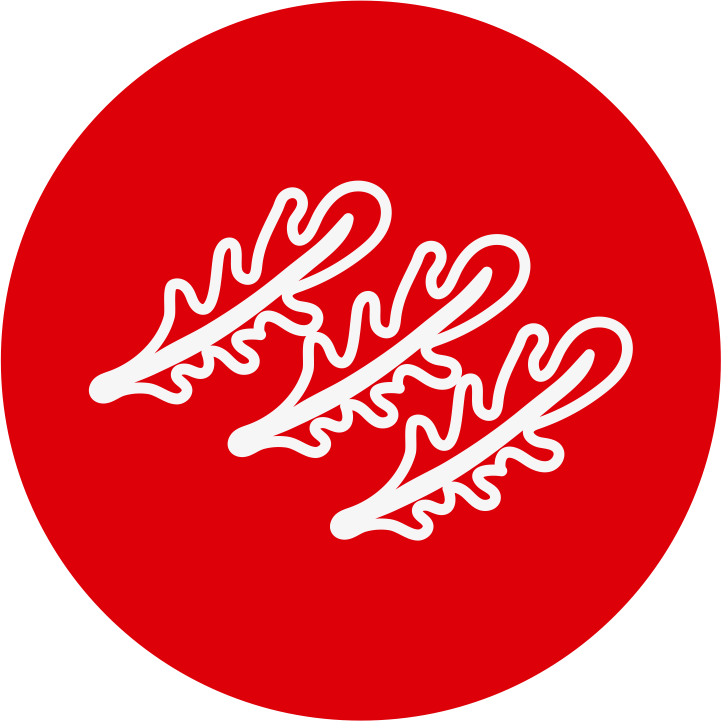 Pré-limpeza e corte