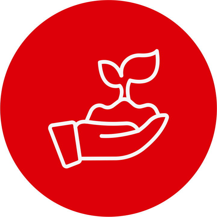 Compra com os melhores produtores
